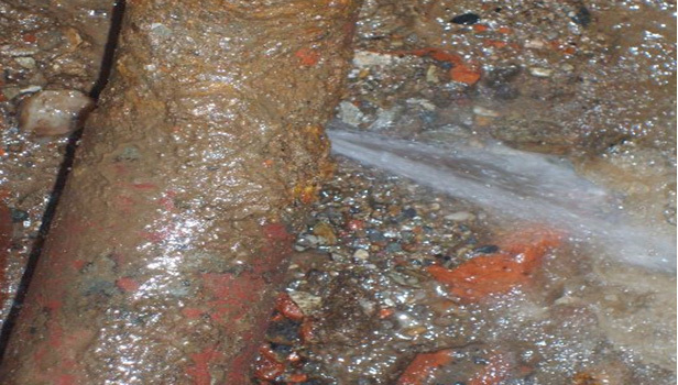 1766539216653523_1658555843579440.jpg 1658555843579440.jpg