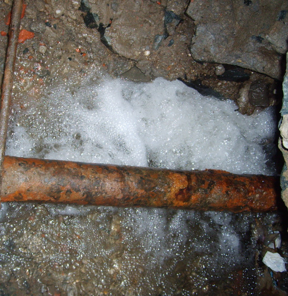 1766539223136759_1658555866814294.jpg 1658555866814294.jpg