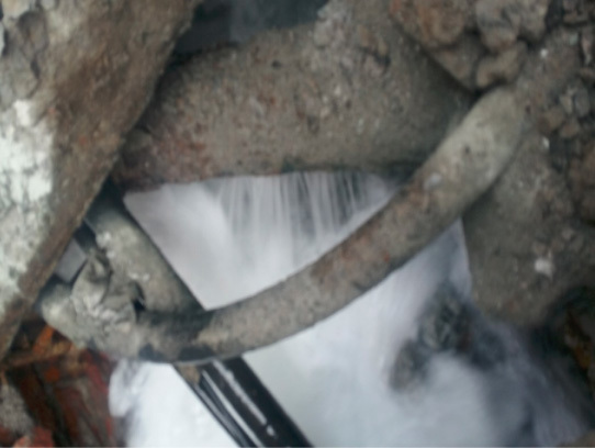 1658805031268842.jpg f9020fe2-2789-459c-bdf7-8687cc4ebcf8.jpg