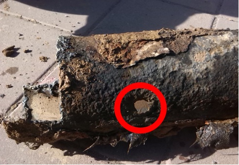 1658805164223405.jpg 19b6dcd8-e84b-4773-8eff-091153f4ca91.jpg