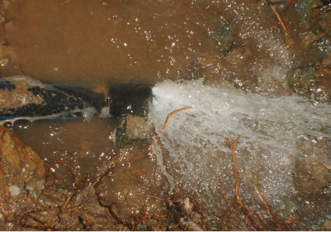 1658805425341568.jpg b792a232-f9f8-40ef-b432-fc5294187b7b.jpg