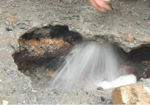 1658805576139235.jpg 2c503ecd-f152-412a-b3e8-af54bd7c40d4.jpg